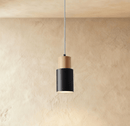 Nouveau Pendant Light