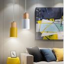 Nouveau Pendant Light - Open Box
