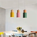 Nouveau Pendant Light - Open Box
