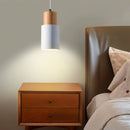 Nouveau Pendant Light - Open Box