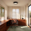 Novis Ceiling Light