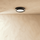 Novis Ceiling Light