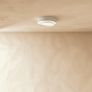 Novis Ceiling Light