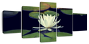 Lotus And Leaves Wall Art