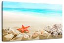 Seashells At The Beach Wall Art