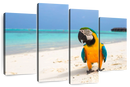 Parrot On Summer Day Wall Art
