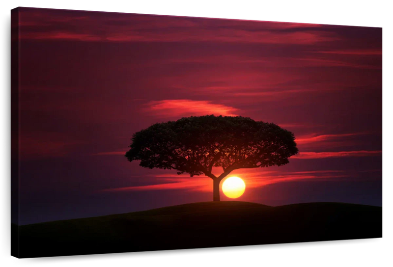 African Sunset Sky Wall Art