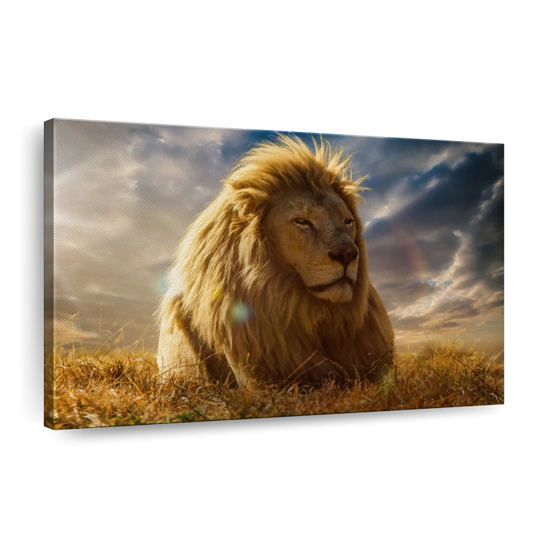 Safari Lion Glory Wall Art