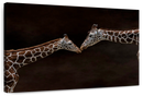 Giraffe Affection Wall Art