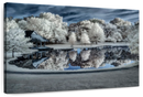 Winter Nightscape Wall Art