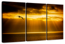 Golden Ocean Sky Wall Art