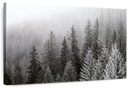 Winter Mist Wall Art