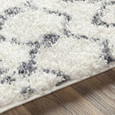 White Gray Navassa Rug - Promo