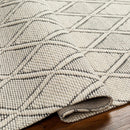 Aeron Area Rug - Clearance