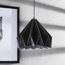 Lurnfeld Modern Ceiling Lighting