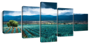 Agave Plantation At Morning Wall Art