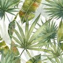 Green Exotic Plants Wallpaper