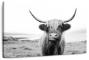 Funny Highland Cow Wall Art