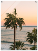 Ocean Palm Trees Print Metal Wall Art – Tropical Beach Coastal Home Decor