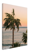 Ocean Palm Trees Print Metal Wall Art – Tropical Beach Coastal Home Decor