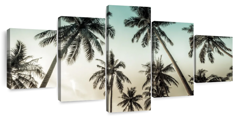 Dawning Above Palm Trees Wall Art