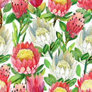 Red and White Protea Wallpaper