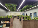 Lush Spring Artificial Vertical Garden Green Wall Panel 40×40in 11 SQ FT – UV Resistant – Commercial Grade