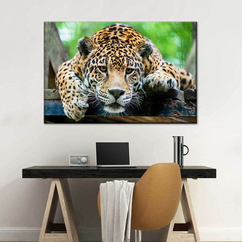 Lazy Leopard Wall Art