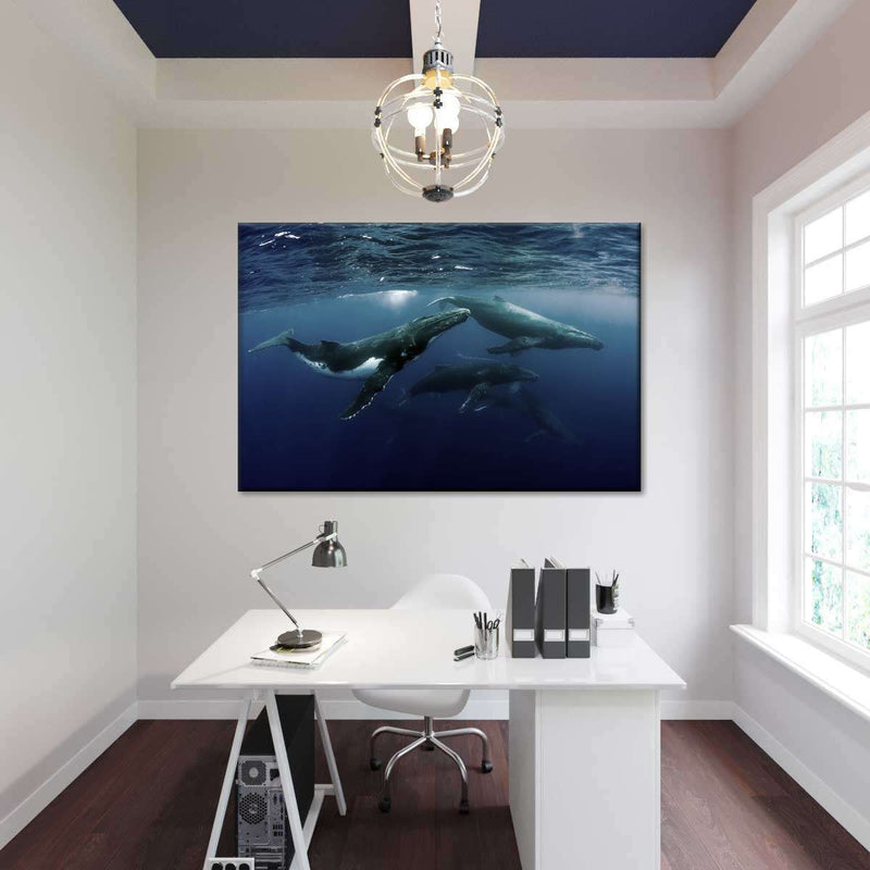 Humpback Whales Wall Art