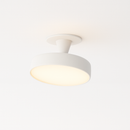 Maiko Downlight