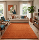 Orange Tribal Gabbeh Border Design Hand Loomed Wool Area Rug