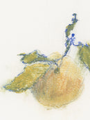 Pastel Orange II