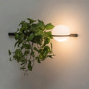 Orbe Wall Lamp