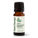 Organic Eucalyptus Globulus Essential Oil
