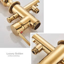 Ornate gold dragon freestanding bathtub faucet bathroom handshower
