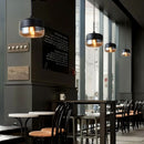 Ornis Pendant Light