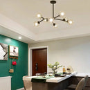 Oron Indoor Chandelier