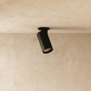 Oryal Downlight
