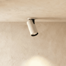Oryal Downlight