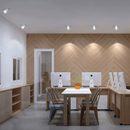 Oryal Downlight