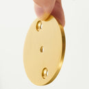 Oscan Handle Backplate