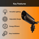 Outdoor Spotlight with Removable Angled Shroud Body