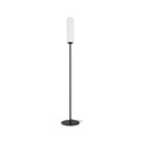 Ovantis Floor Lamp