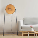 Ozlam Floor Lamp