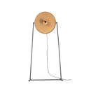 Ozlam Floor Lamp