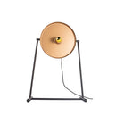 Ozlam Table Lamp