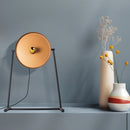 Ozlam Table Lamp