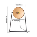 Ozlam Table Lamp