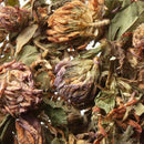 Red Clover Tops - Organic