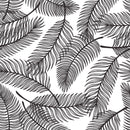 Black and White Palm  Leaves Pattern Wallpaper